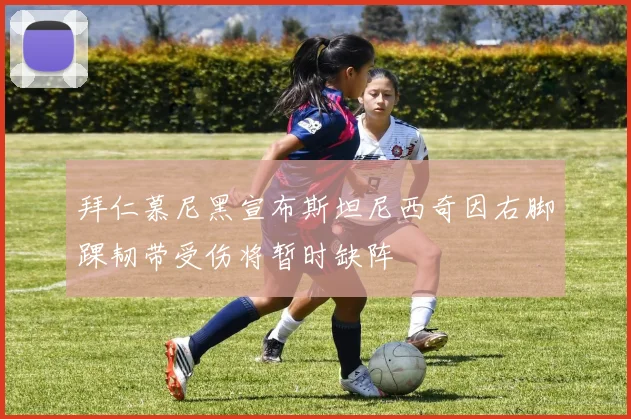 拜仁慕尼黑宣布斯坦尼西奇因右脚踝韧带受伤将暂时缺阵